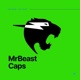 MrBeast Single
