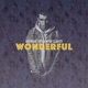 Wonderful Single