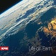 Life on Earth