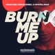 Burn Me Up Single