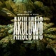 Akuluwo Single