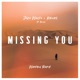 Missing You feat Alisa Wrathul Remix Single