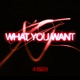 WHAT YOU WANT Single