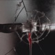 Bloody Insides feat EarthBoyReese Single