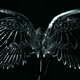 god of death 2049 Single