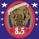 8 5 Single