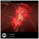 Rhythm Single