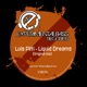 Liquid Dreams Single