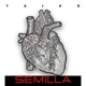 SEMILLA Radio Edit Single