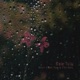 When I Met You in the Rain