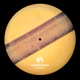 Beyond the Linear SYEP036