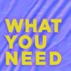 What You Need Single