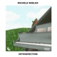 Introspection Single
