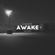 Awake feat K Le Maestro Single