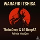 Warafiki Tshisa feat Botle MusiiQue Single