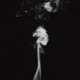 Insomnia Single