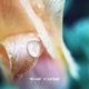The Code Single