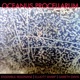 Oceanus Procellarum