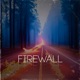 Firewall Single
