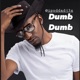 Dumb Dumb feat Big B On the Track Single