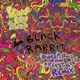 Black Rabbit Dub Pistols Freestylers Remix Single