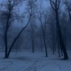 winter sorrow feat Antwoine Single