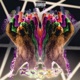 Bears Dance Single