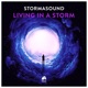 Living in a Storm Single