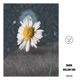 Hollow Sun Single