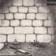 King Without A Kingdom EP