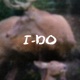 In the Border Radio Edit Single