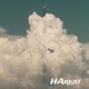 Harkat Single