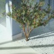 Emerge