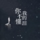 你不懂我的泪 Single