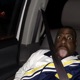 HIGH DRUNK SH T Single