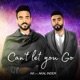 Can t Let You Go feat Akal Inder Single