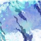 美丽谎言 Single