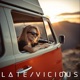 Vicious Single
