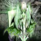 2014HardTekStar Com feat YOHEI نقره خدا Single