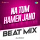 Na Tum Hamen Jano Beat Mix Single