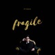 Fragile Single