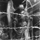 Rot With Me Single