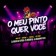 O MEU PINTO QUER VOCÊ feat MC GW Single