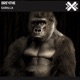 Gorilla Single