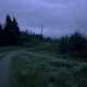 isolated Single