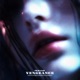 VENGEANCE Single