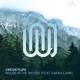 House in the Woods feat Sarah Lahn Single