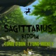 Sagittarius Riddim Single