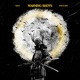 Warning Shots feat whoisksh Single