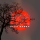 Tribal Skies of Peace Single